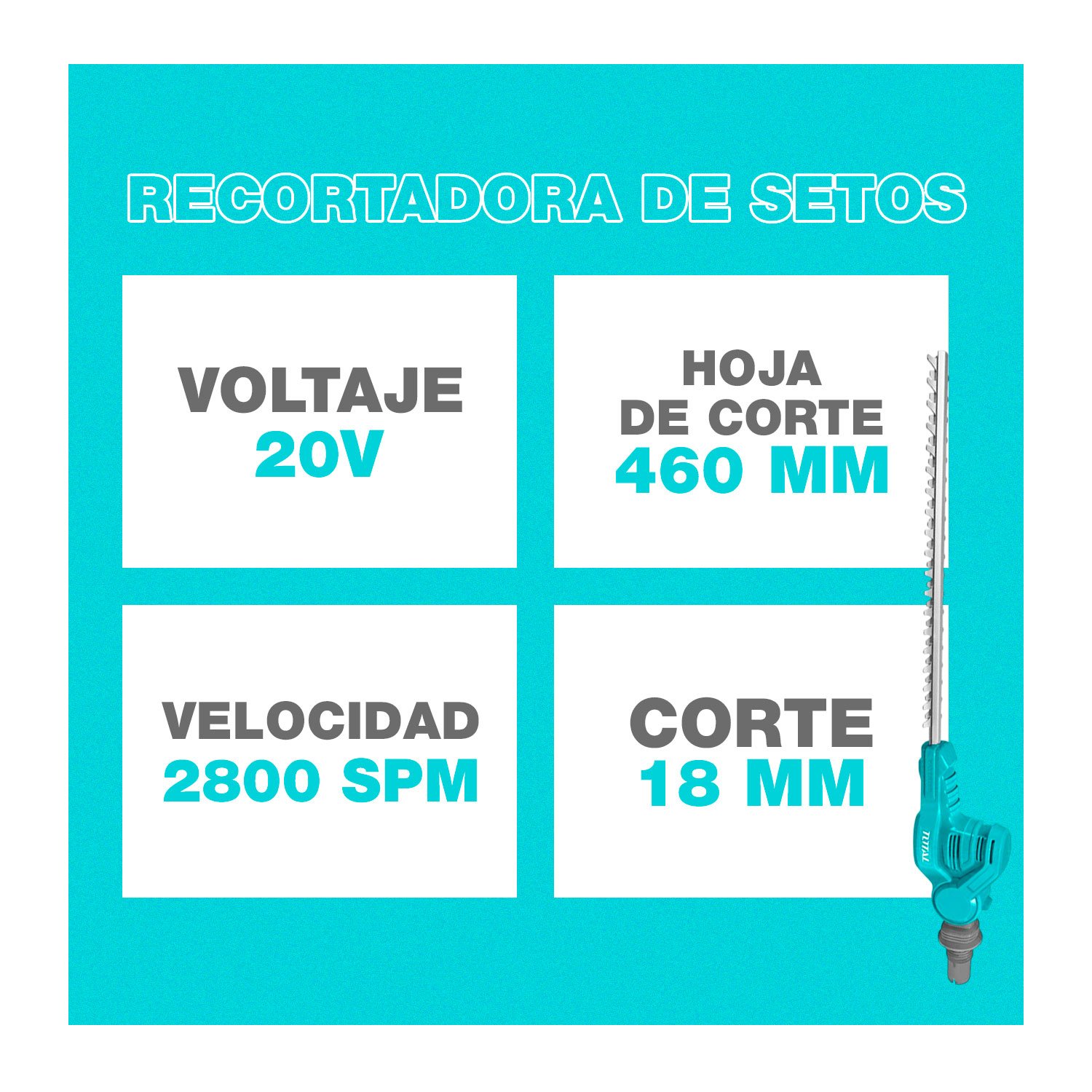 Combo Cortasetos + Sierra Extendible + 1bat 20ah + Cargador - Imagen 6