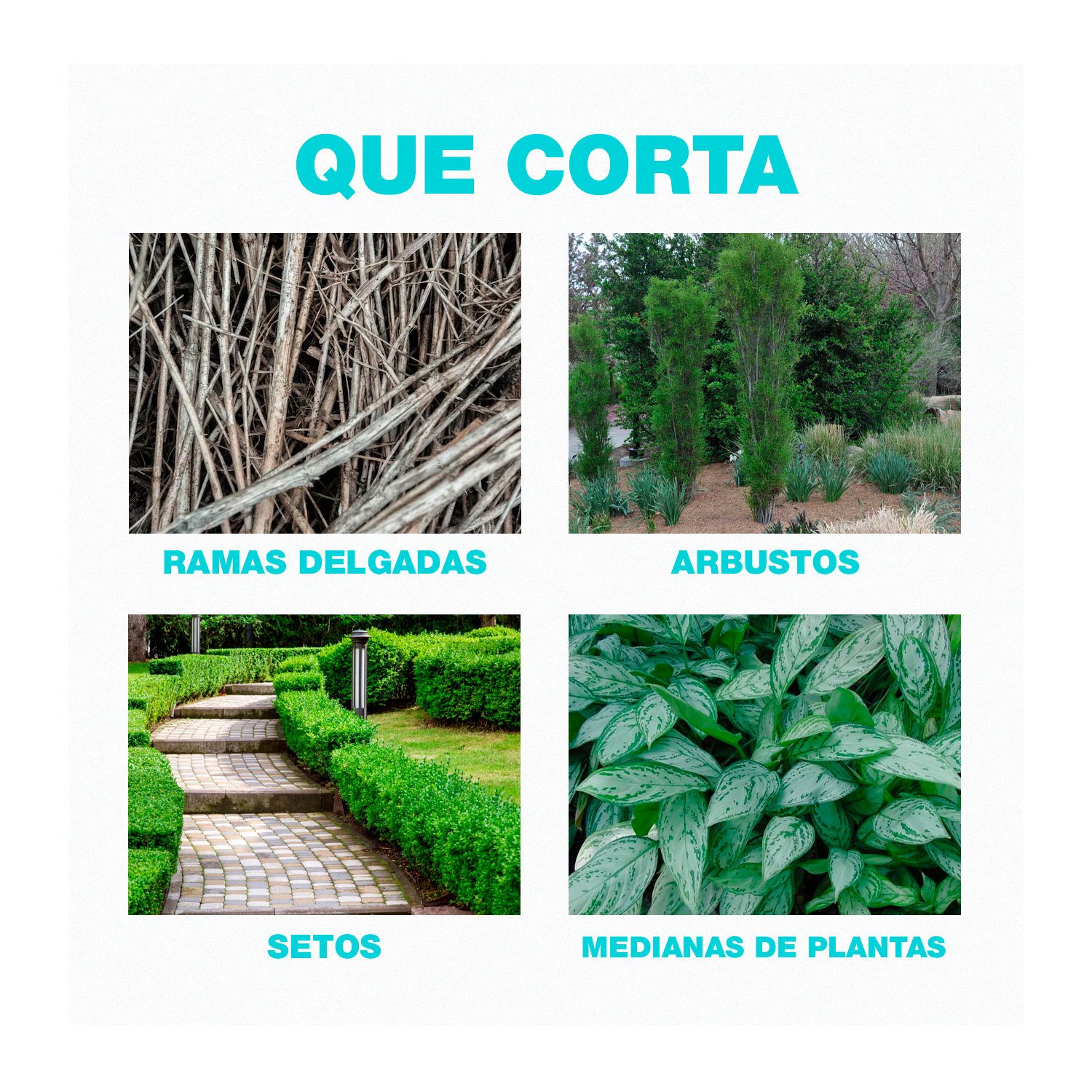 Combo Cortasetos + Sierra Extendible + 1bat 20ah + Cargador - Imagen 7